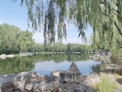 -阿尔丁植物园