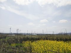 -贵州云顶草原民族风情园