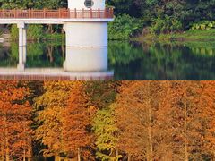 -广州市白云山风景名胜区