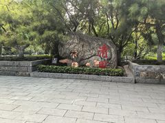 -莲湖公园
