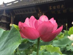 -宝光寺