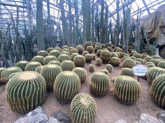 -南山植物园