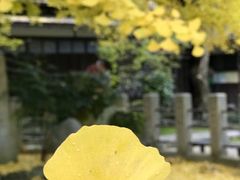 -医王山·飞騨国分寺