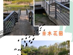 -大兴滨河森林公园