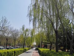 -绿堤公园