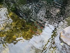 -趵突泉景区