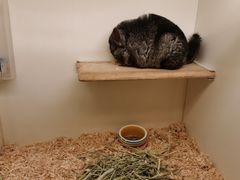 -龙猫仔乐园(惠福东路店)