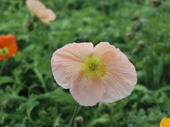 -长沙园林生态园