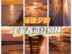 -宝安西湾红树林湿地公园