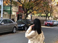 -八大关景区