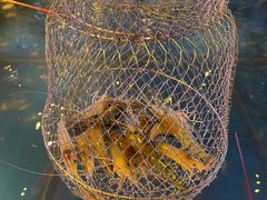 -钳真多钓虾馆·小龙虾海鲜烧烤(九六广场店)