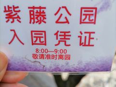 -嘉定紫藤园