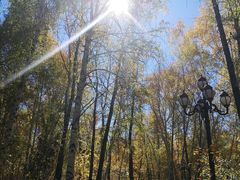 -山河屯铁锅炖(哈西站店)