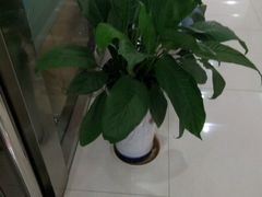 -中国建设银行(太原敦化坊支行)