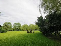-北坞公园