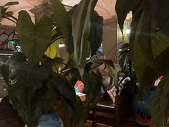 -凯撒城堡西餐厅(颐和国际店)