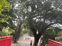 -荔湾湖公园