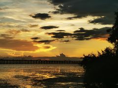 -宝安西湾红树林湿地公园