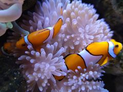 -多彩贵州城极地海洋世界