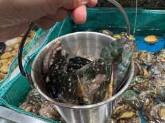-初色海鲜自助(万丰路店)