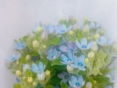 -亭亭鲜花店(中山北路店)