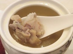 牛肝菌乳鸽炖老龟-丰乐园大酒店