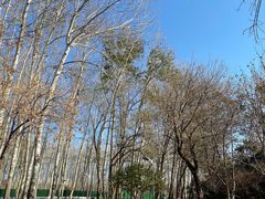 -仁和公园(顺义区)