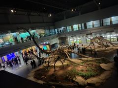 -自贡恐龙博物馆