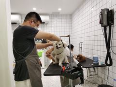 -BABIT巴比特宠物(MOMOPARK店)