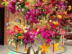 -浅深Cheersum(曹杨店)