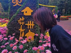 -富乐山