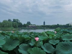 -西海子公园