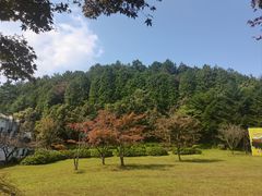 -四明山国家森林公园