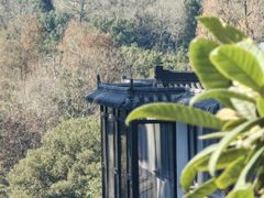 -杭州西湖风景名胜区-满觉陇四眼井