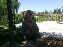 -武清南湖绿博园