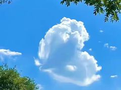 -星巴克(深圳星都豪庭店)