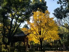 -汇龙潭