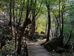 -祁门牯牛降观音堂风景区