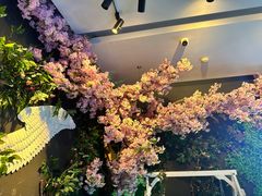 -MD KTV(居然之家店)