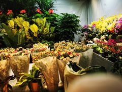 -朝来春花卉市场-东停车场