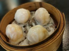 添运来虾饺皇-添运来(茶园奥园广场店)