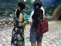 -华夏文旅海洋公园