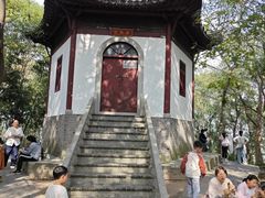 -上海佘山国家森林公园天马山园