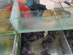 -王四营海鲜市场