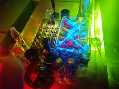 -PAPAYA CLUB 酒吧(深圳旗舰店)