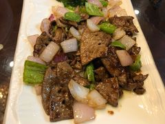 -丁老爷子苏香圆