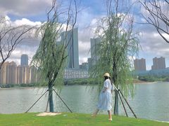 -天鹅湖体育公园
