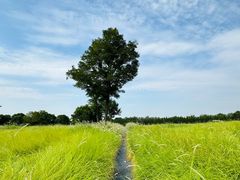 -汉长安城未央宫国家考古遗址公园