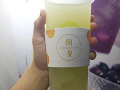 -树夏(建设路店)