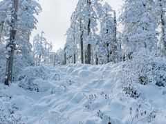 -瓦屋山景区
